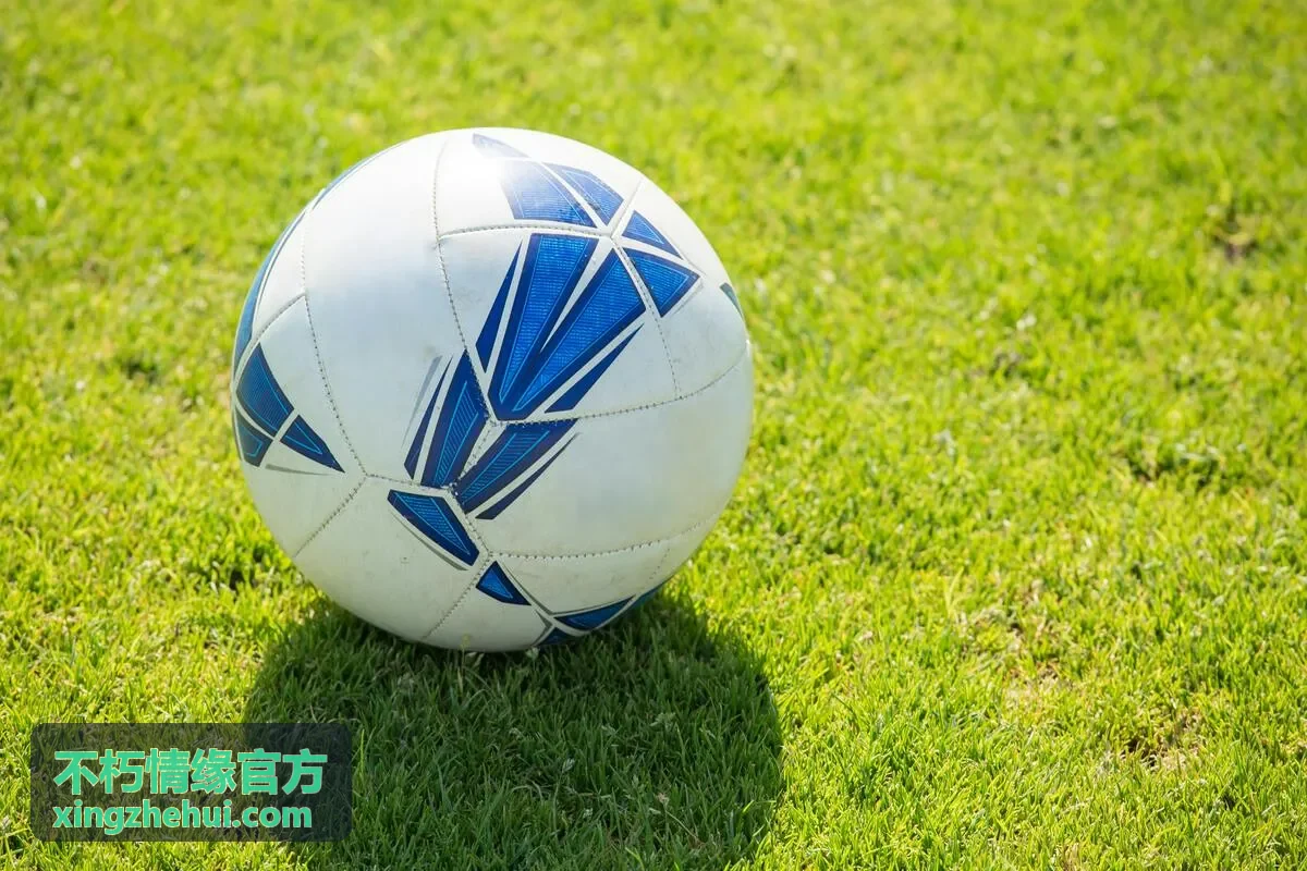 不朽情缘官方结契流程示意图